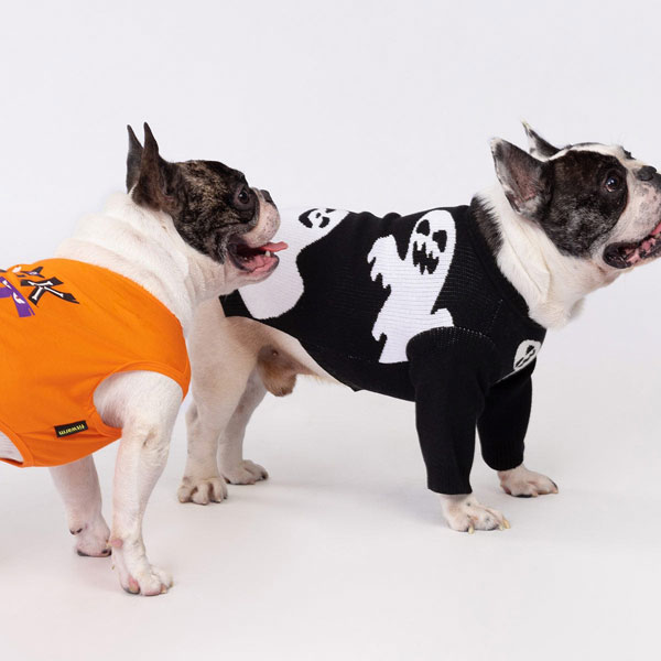 Halloween ghost dog sweater