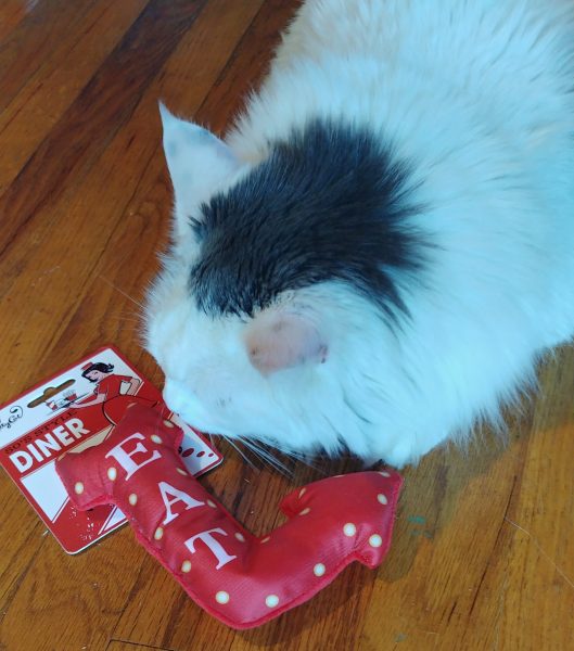 KitNipBox Cat Subscription Box Review