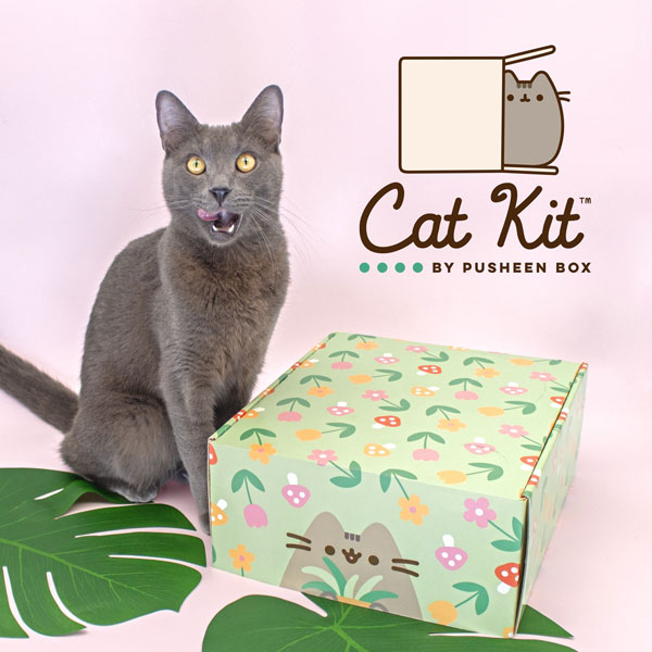 Pusheen Cat Kit