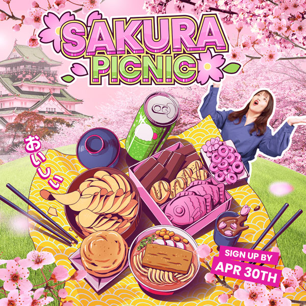 sakura picnic japanese snacks box
