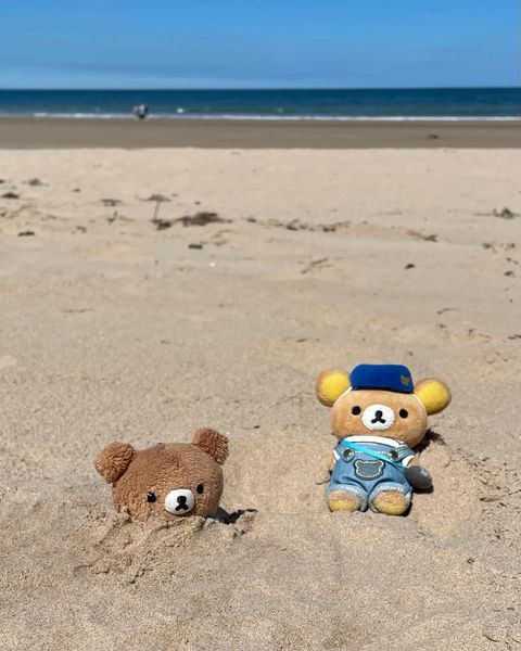 Rilakkuma & Kogumachan at the beach