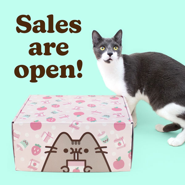 Pusheen Box Cat Kit Subscription Box