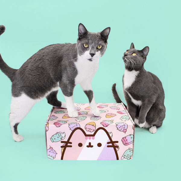 Pusheen Cat Kit subscription box