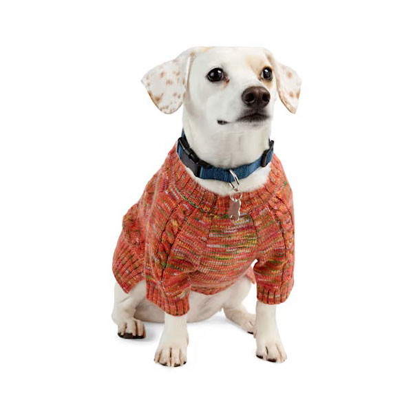 Halloween pet sweater