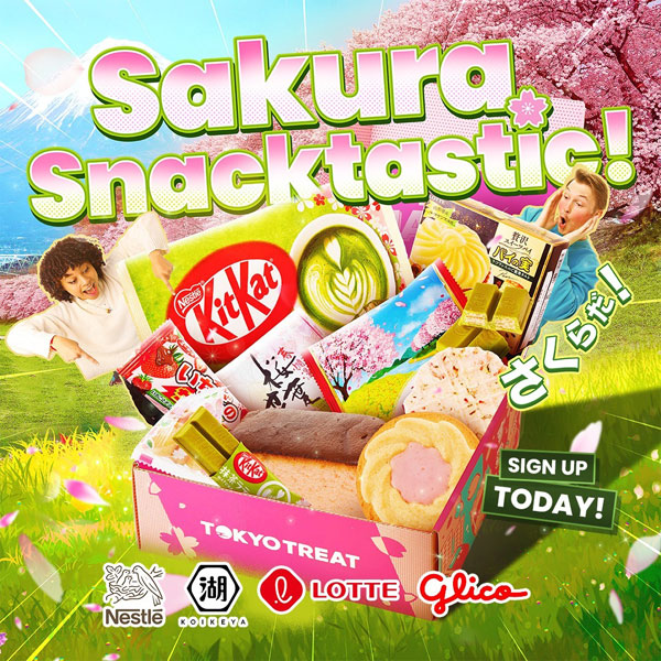 Japanese snacks subscription box