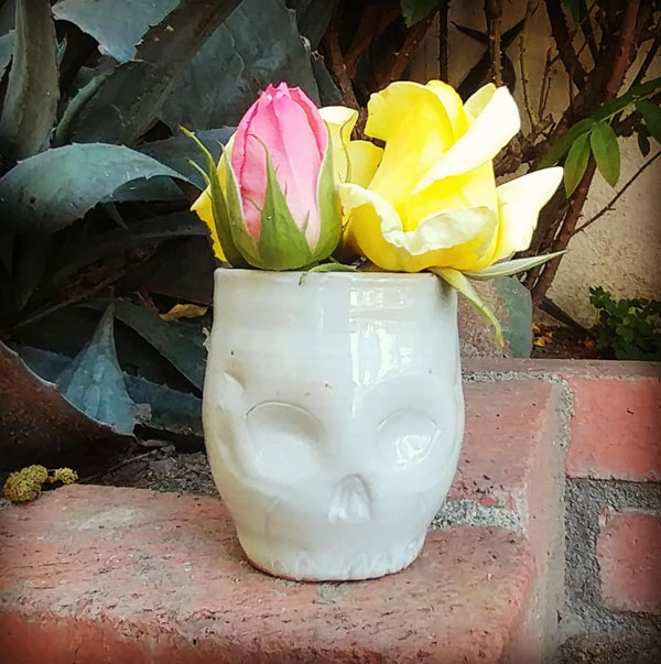 ceramic skull planter