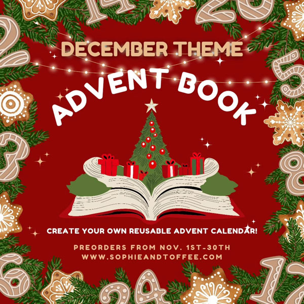 kawaii crafts subscription box