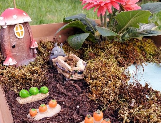 Kawaii Totoro Mini Garden DIY
