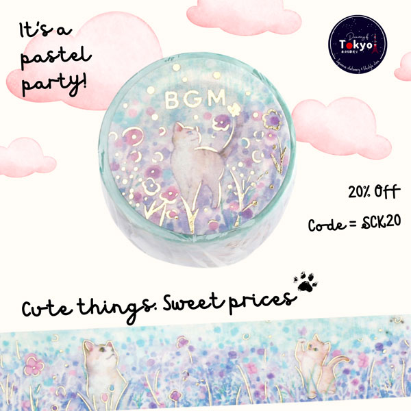 Black Friday Discounts at Kawaii Shops