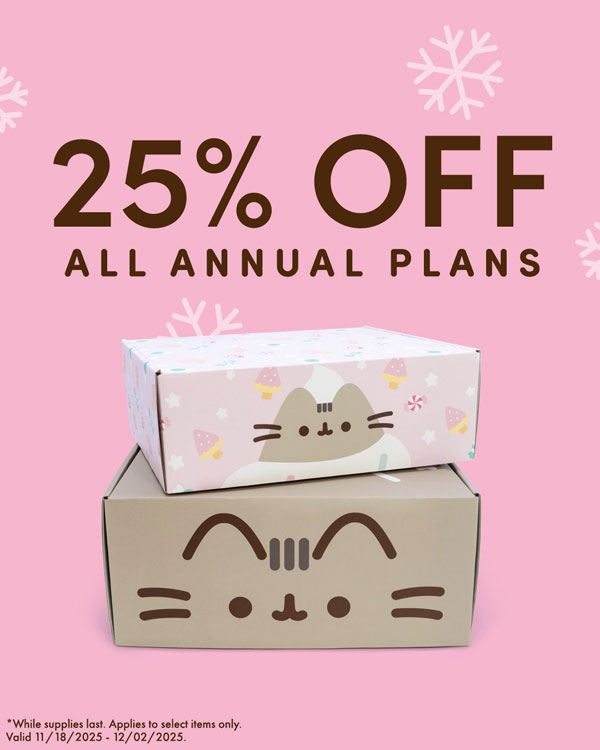 Black Friday Discounts at Kawaii Shops