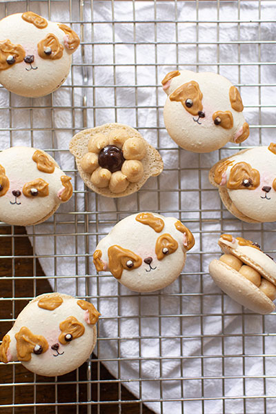 peanut butter chocolate macarons recipe