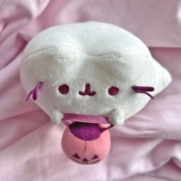 Fall 2026 Pusheen Box Review