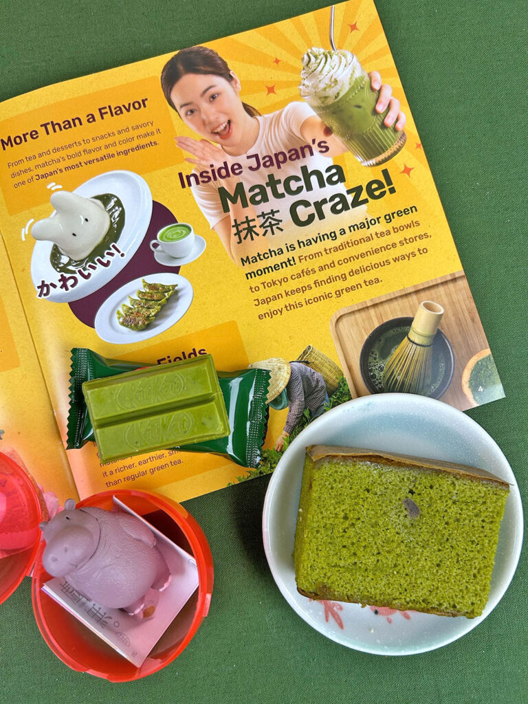 TokyoTreat Japanese snacks subscription box review