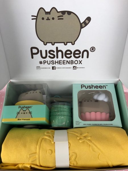 Winter 2019 Pusheen Box Review
