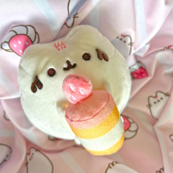 Summer 2025 Pusheen Box Review