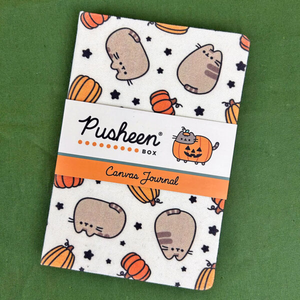 Fall 2025 Pusheen Box Review