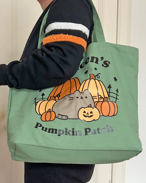Fall 2025 Pusheen Box Review
