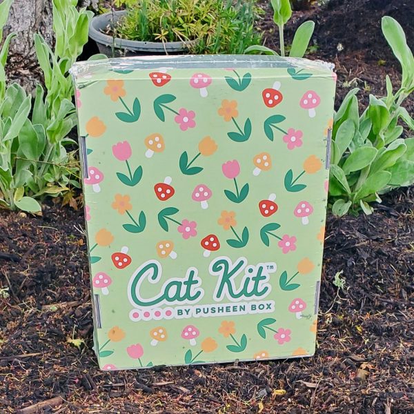 Spring 2022 Pusheen Cat Kit review