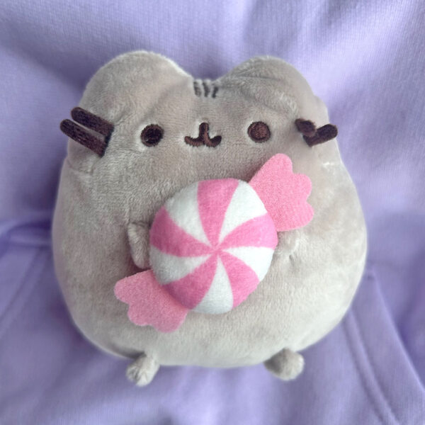 Winter 2025 Pusheen Box Review