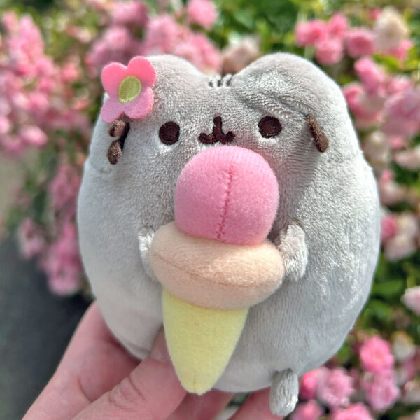 Summer 2026 Pusheen Box Review