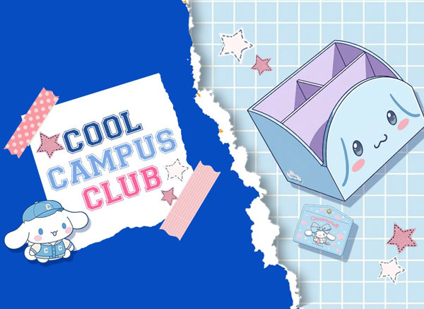 Kawaii Box subscription box