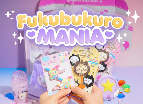 kawaii subscription box