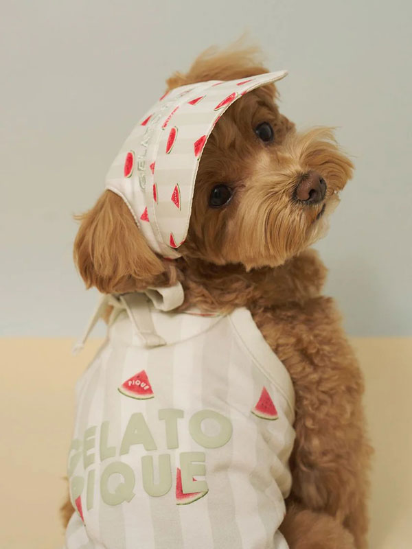 summer dog hats