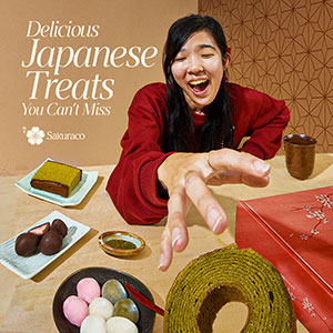 Sakuraco monthly Japanese Artisan Snack Box