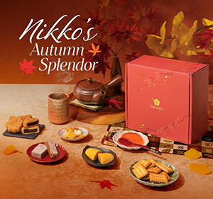 Sakuraco monthly Japanese Artisan Snack Box
