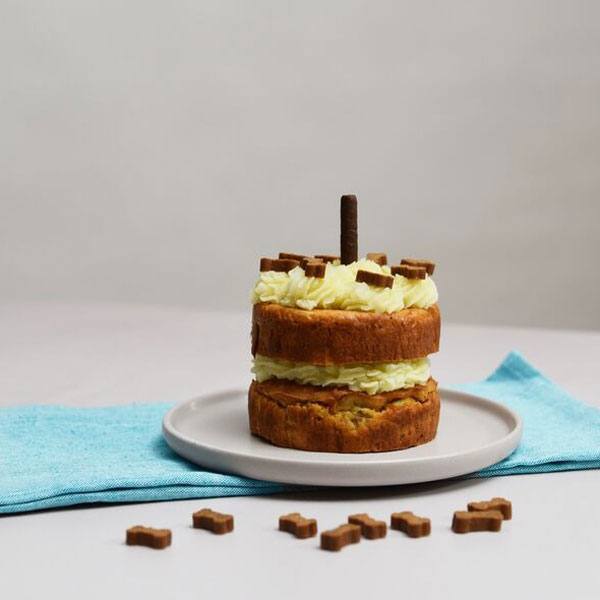 dog-friendly cake recipes