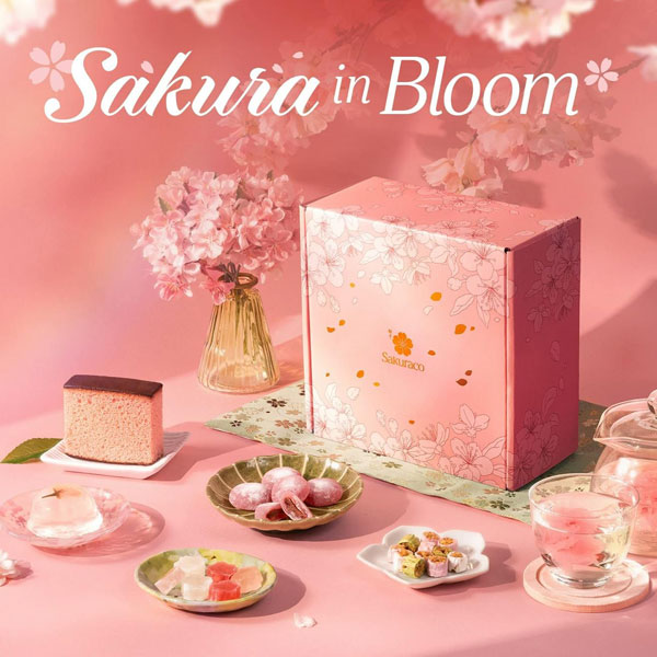 Sakuraco traditional Japanese snacks subscription box