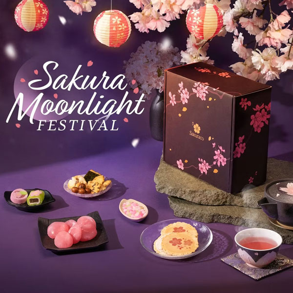 Sakuraco traditional Japanese snacks subscription box