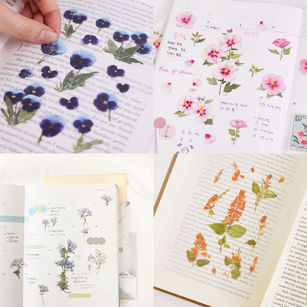 Appree Korea pressed flower stickers