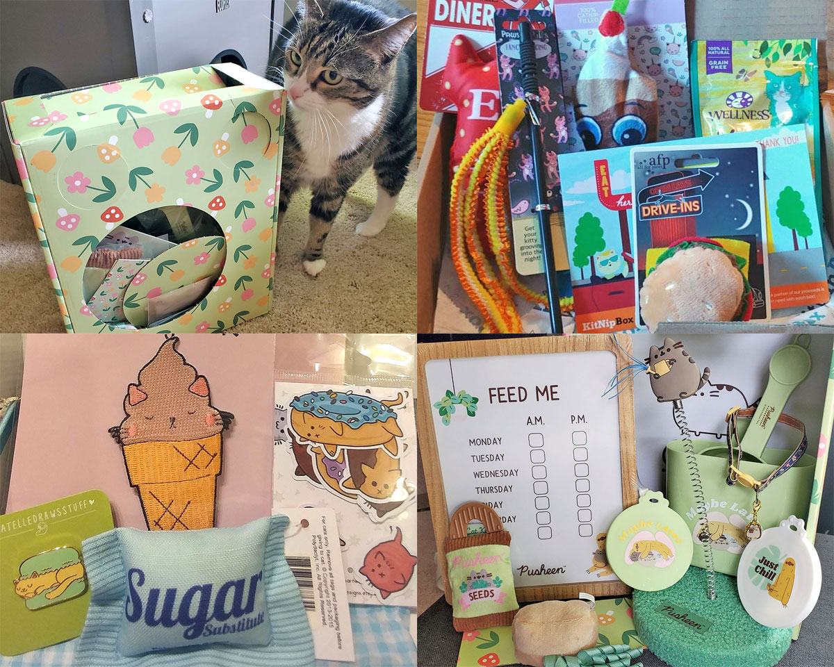 subscription boxes for cats
