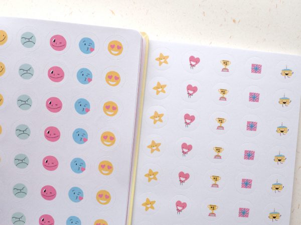 Celebrate Today bullet journal and stickers review
