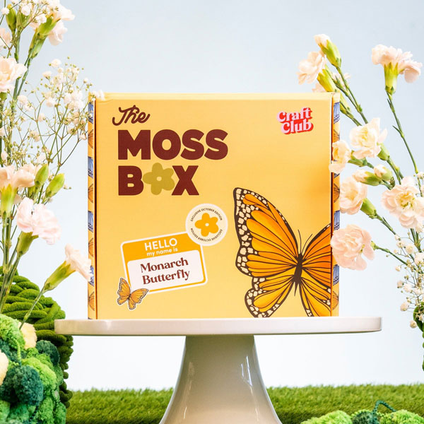 crafts subscription box