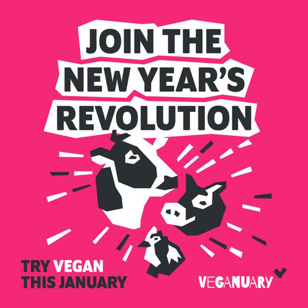 Fun Daily Challenges For January - veganuary