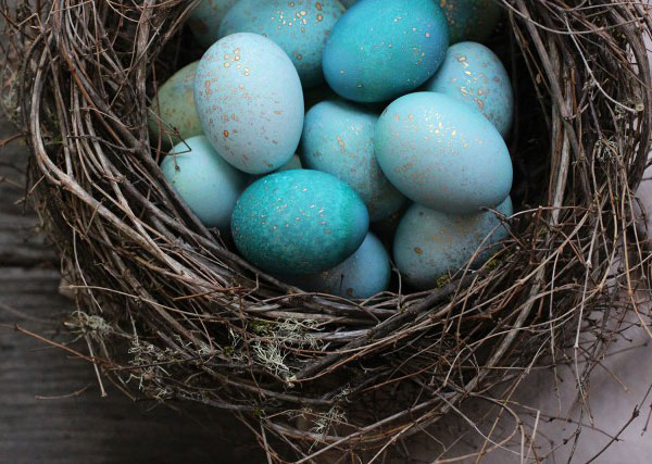 DIY easter robin eggs