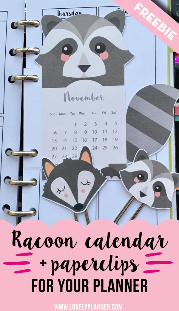 Raccoon calendar divider+ paperclips
