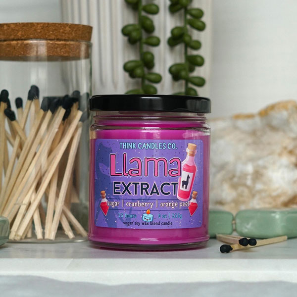 The Emperor's New Groove inspired handmade candle