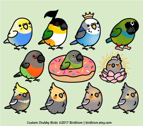 birdhism custom bird stickers