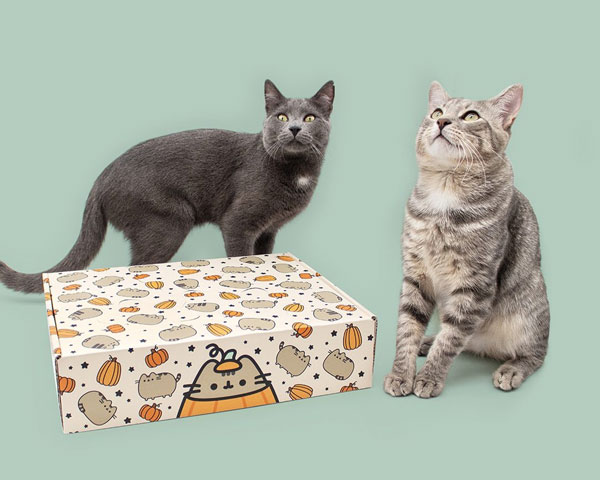 Pusheen Cat Kit