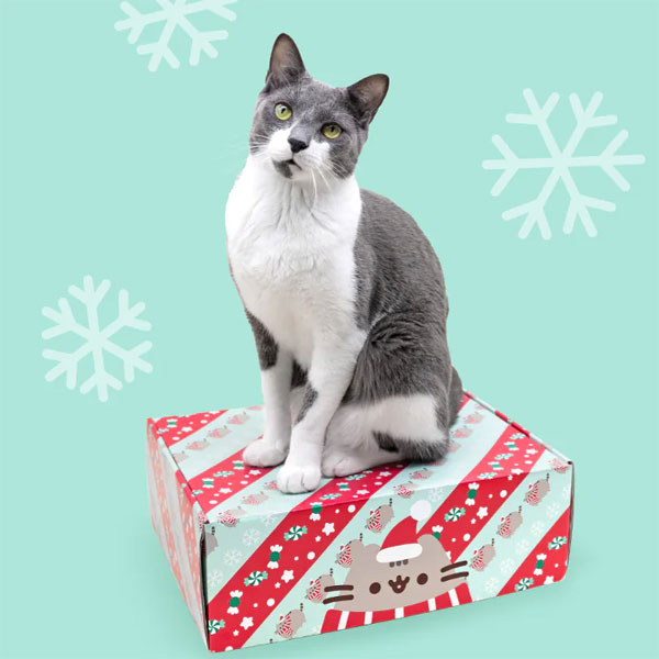 Pusheen Box Cat Kit