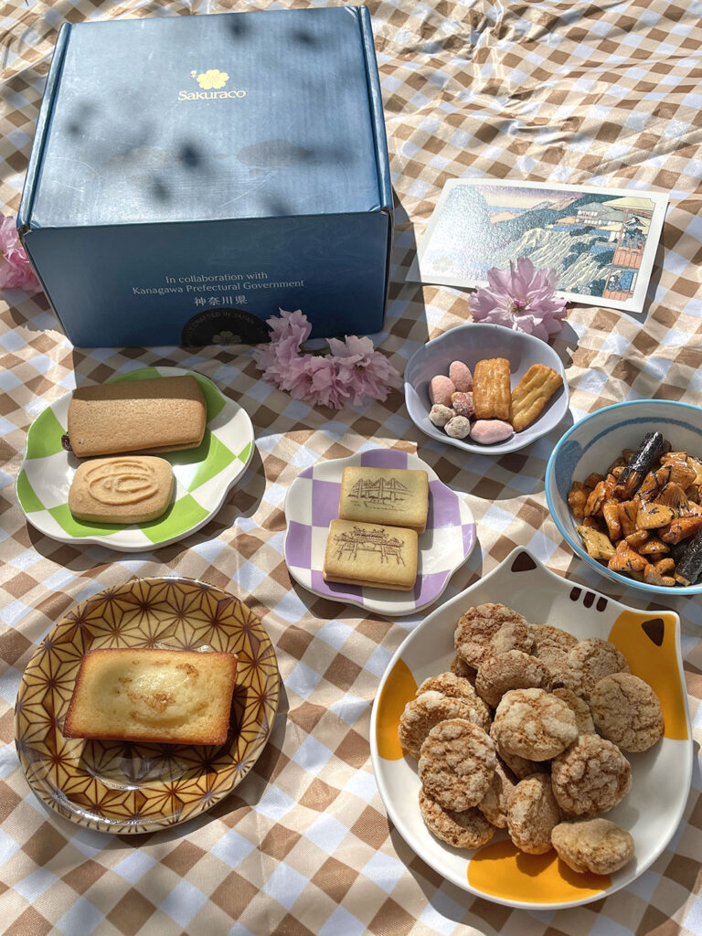 Sakuraco monthly Japanese Artisan Snack Box