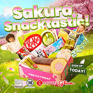 TokyoTreat Japanese candy snacks subscription box