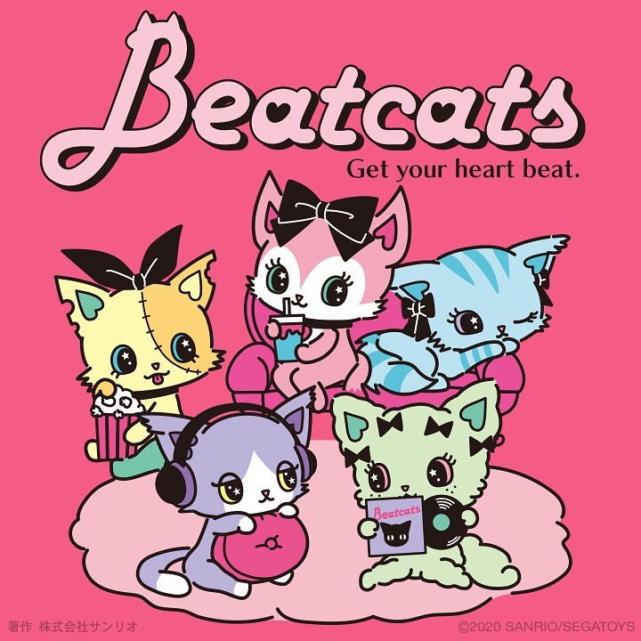 Meet The Beatcats
