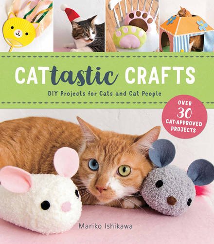 Cattastic Crafts book
