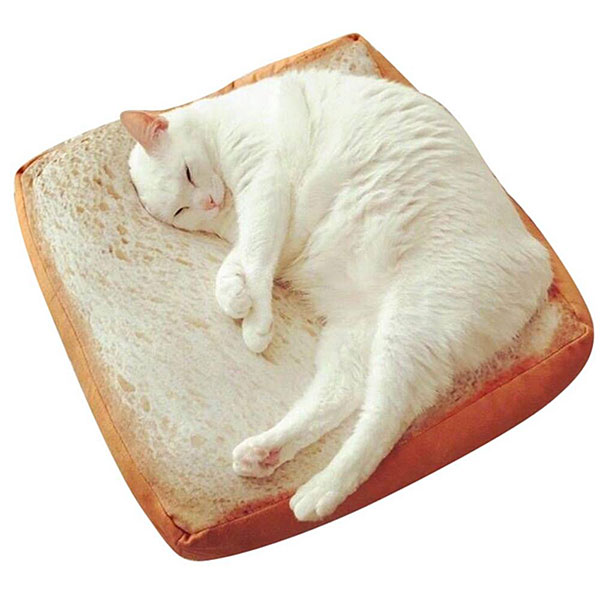 cute bread cat bed