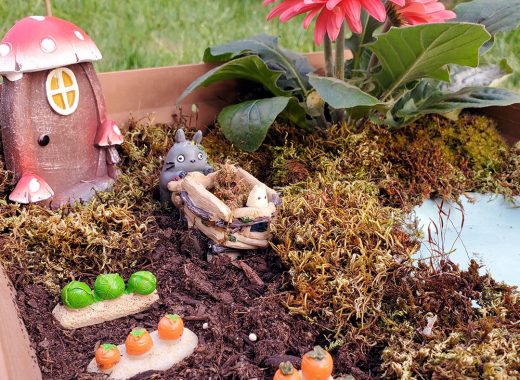 Kawaii Totoro Mini Garden DIY