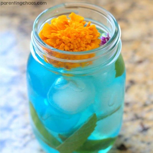 Pokemon drinks recipes
